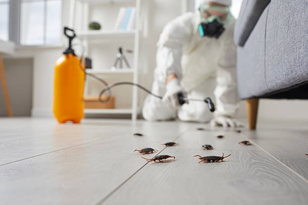 Post-Treatment Bed Bug Interceptor Monitoring in South Bound Brook