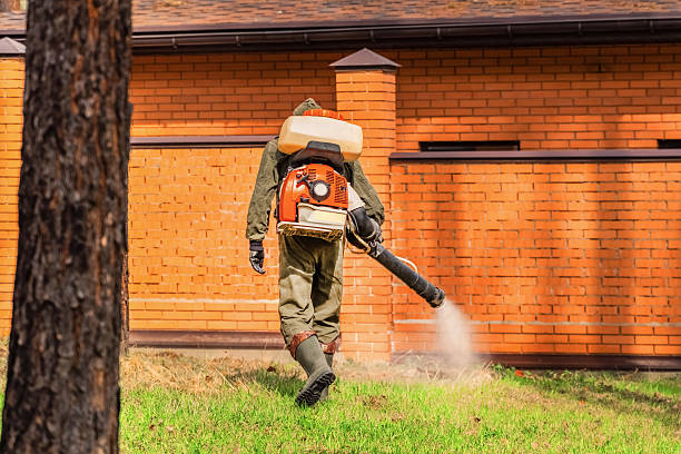 Bed Bug Clearance Verification and Documentation in South Bound Brook